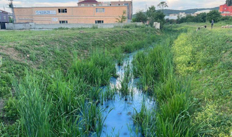 Arnavutköy'de derenin rengi maviye döndü: İSKİ açıklama yaptı