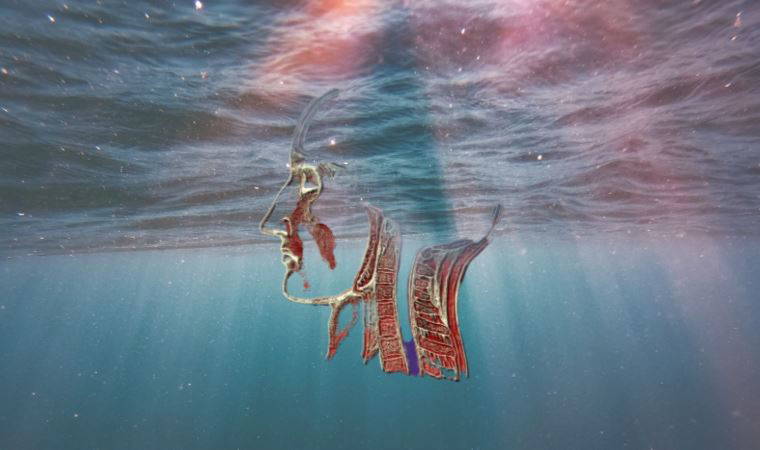 Entelektüel kapasitenizi geliştirmeniz bu önerilerle mümkün