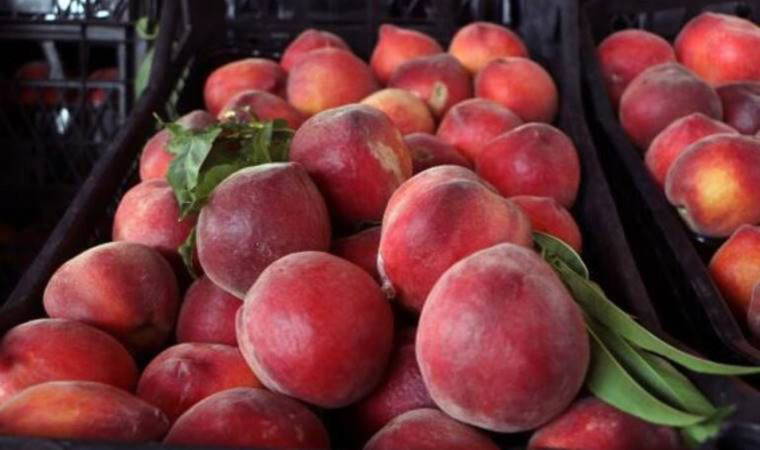 Şeftali'nin kilosu halde 7 lira, markette 27 lira