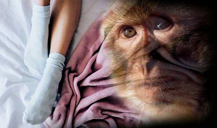 Araştırma: Mastürbasyonun tarihi 40 milyon yıl öncesine uzanıyor