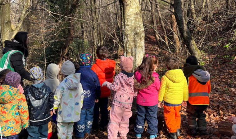 Ormanda okul olur mu?