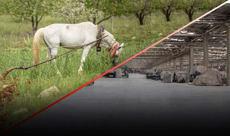 Cumhuriyet yazdı: Sanayi ve tarımı vuran politika