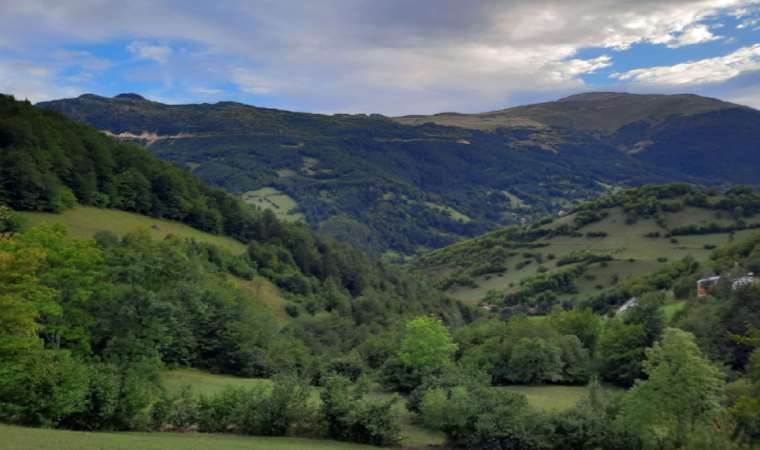 Giresun'da maden ocağı için ÇED süreci başlatıldı