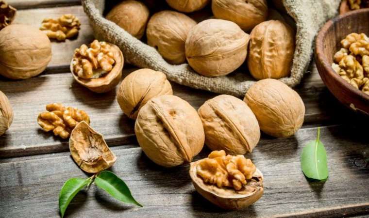 Neden düzenli ceviz tüketmeliyiz? Ceviz hakkında merak edilenler…