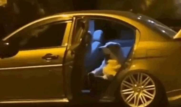 İstanbul'da köpek otomobile girdi, saatlerce çıkarılamadı