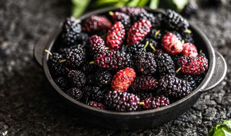 Karadutun faydaları nelerdir? Karadutlu sorbe tarifi…