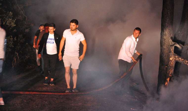 Bursa'da orman yangını 3 saate kontrol altına alındı: 1 gözaltı