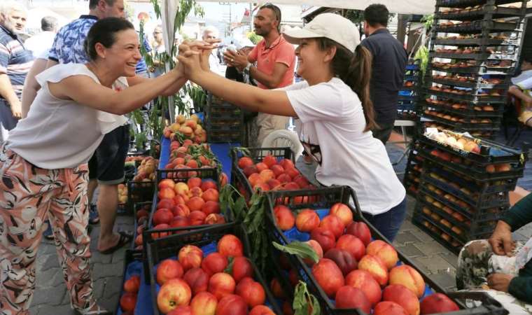 Efes Selçuk Şen Şeftali Şenliği kapılarını açıyor