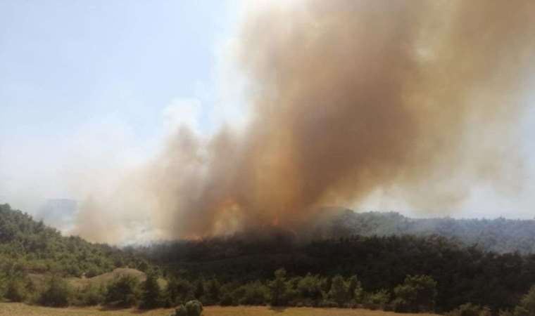 Adana’da orman yangını! Ekipler müdahaleye başladı