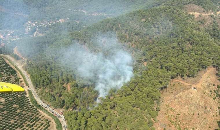 Muğla'da orman yangını! Ekipler müdahale ediyor