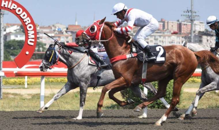 Pertevniyal Koşusu Vizigot’un!