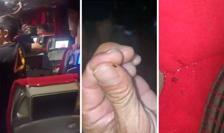 Mersin-İstanbul otobüsünde 'tahta kurusu' paniği: 45 yolcu ayakta yolculuk yaptı