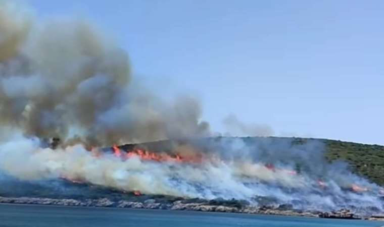 Urla'da orman yangını