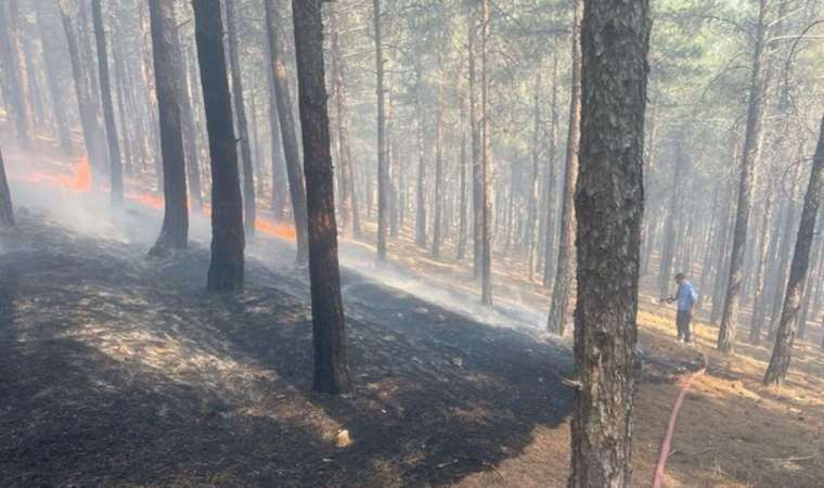Kahramanmaraş'ta orman yangını! (14 Temmuz 2023)