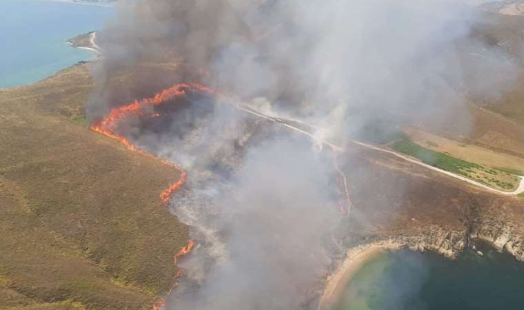 Avşa Adası'nda yangın... Kontrol altına alındı!