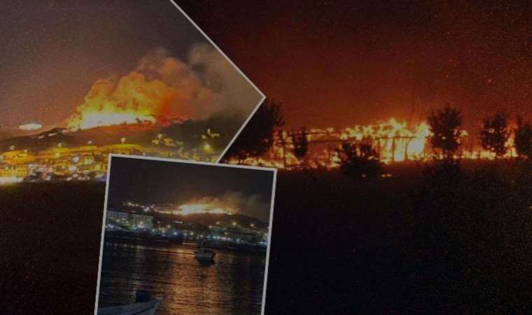 Ciğerlerimiz yanıyor! Hatay'ın ardından çok sayıda ilde orman yangını