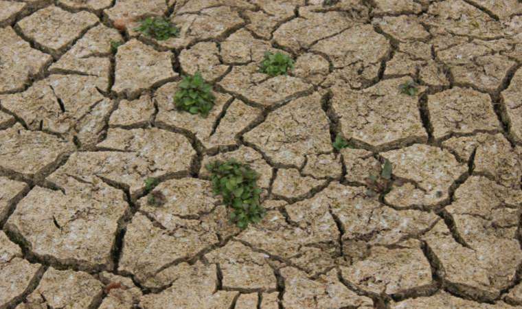 Hidrobiyolog Dr. Erol Kesici'den 'kuraklık' uyarısı: İklime göre ürün seçilmeli