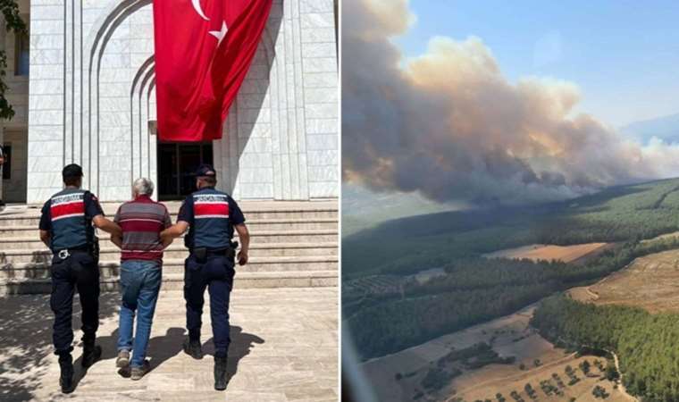 Milas yangınının nedeni belli oldu: 160 hektarı kül etmişti, tutuklandı