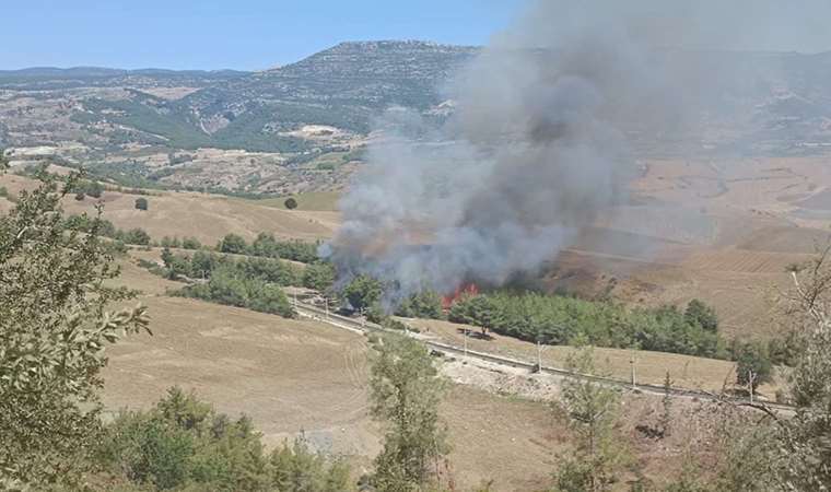 Adana'da ormana sıçrayan yangın kontrol altına alındı