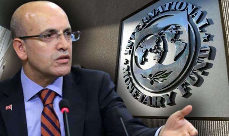 Ünlü ekonomist değerlendirdi: Mehmet Şimşek'in ekonomi modeli mi, IMF mi?