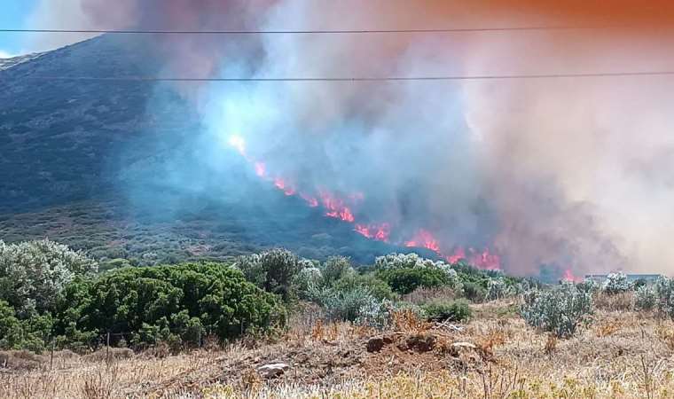 AB, Yunanistan'a yangın söndürme uçakları sevk edecek