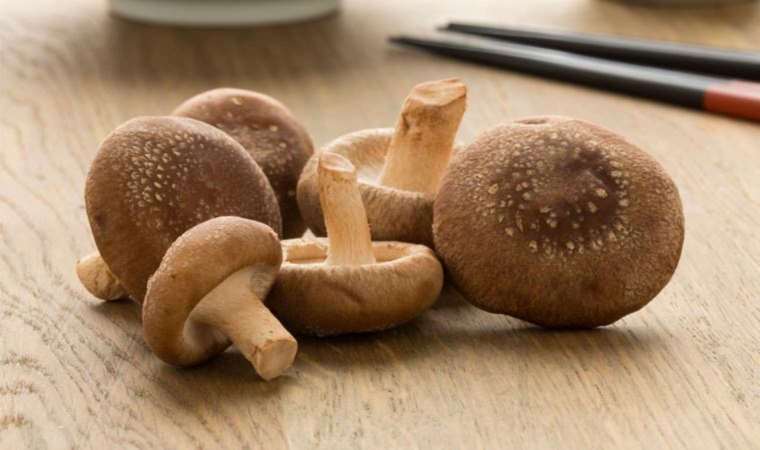 Shiitake mantarı nedir, nasıl pişirilir? Dikkat edilmesi gerekenler...
