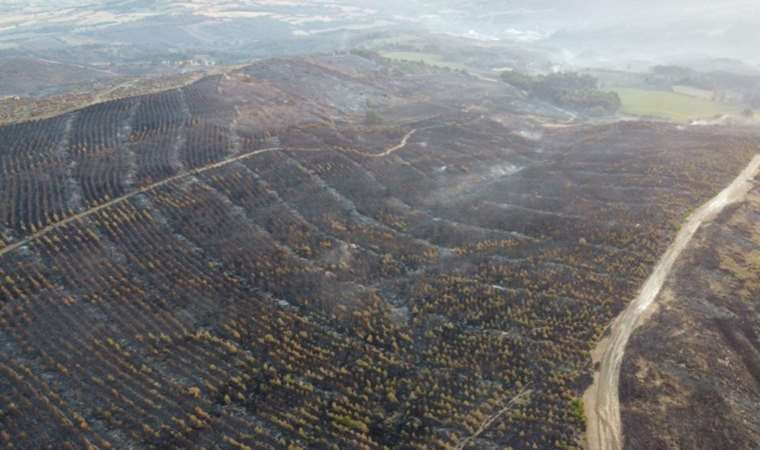 Çanakkale'deki yangının hasarı havadan görüntülendi: 'Yeşillik alan kalmadı'
