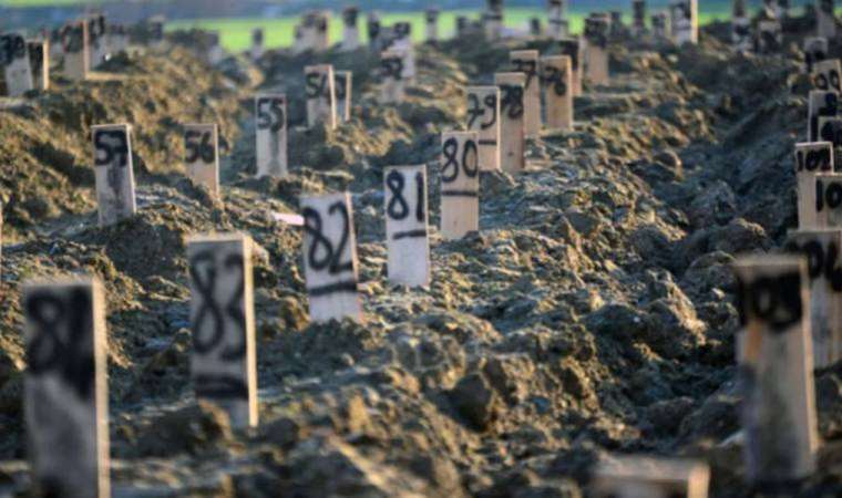 Avukattan savcıya tepki