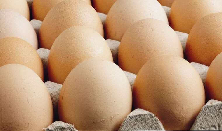 Egeli ihracatçılardan 'yumurtada kanserojen' madde tepkisi