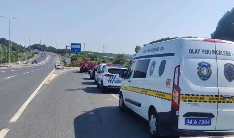 Son Dakika: İstanbul'da iki farklı noktada orman yangını!