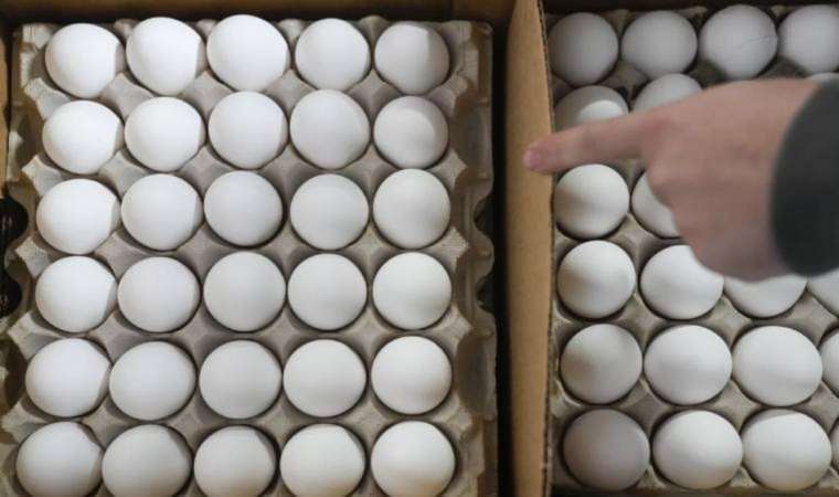 'Antibiyotikli yumurta' krizi! TMMOB Gıda Mühendisleri Odası başkanı Cumhuriyet'e anlattı