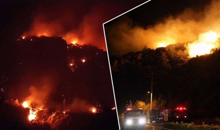 Muğla'da orman yangını: Bölgeye çok sayıda ekip sevk edildi, gece görüşlü helikopter istendi