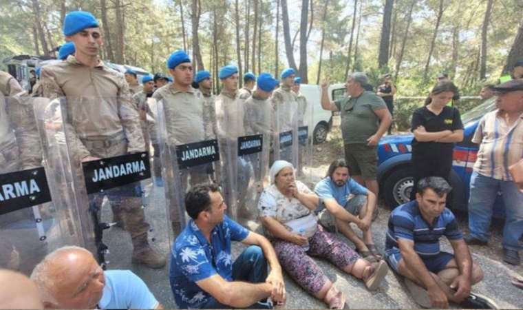 İkizköy direnişçisi Nejla Işık, Akbelen Ormanı’ndaki baskını anlattı: ‘Ölüm çukurları açılıyor’