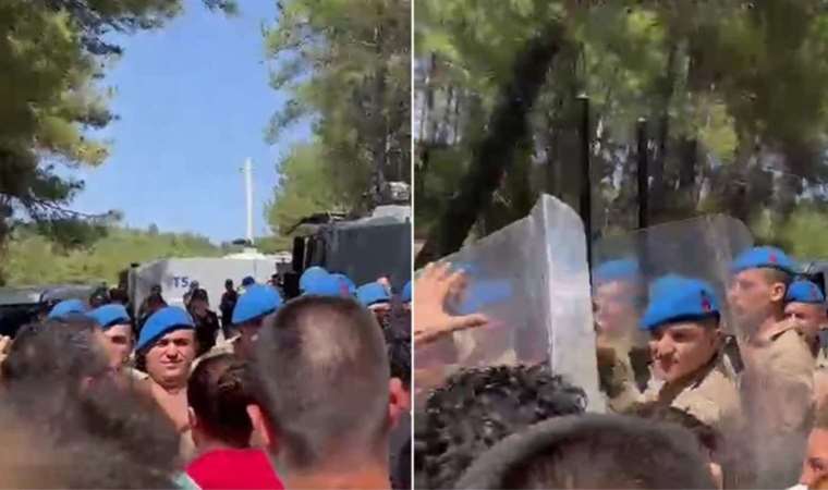 Son Dakika... Akbelen Ormanı'nda jandarma müdahalesi: Gözaltılar var! (24 Temmuz 2023)