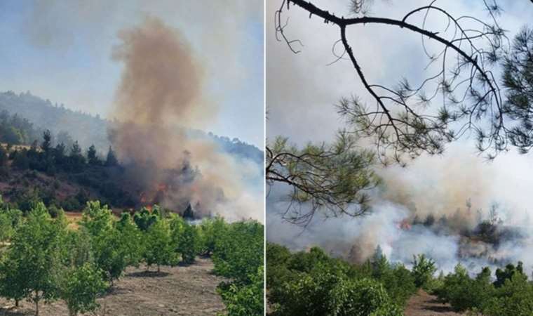 Kahramanmaraş'ta orman yangını! (24 Temmuz 2023)