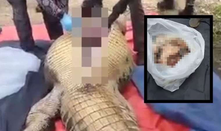 Kayıp çiftçi timsah midesinden çıktı
