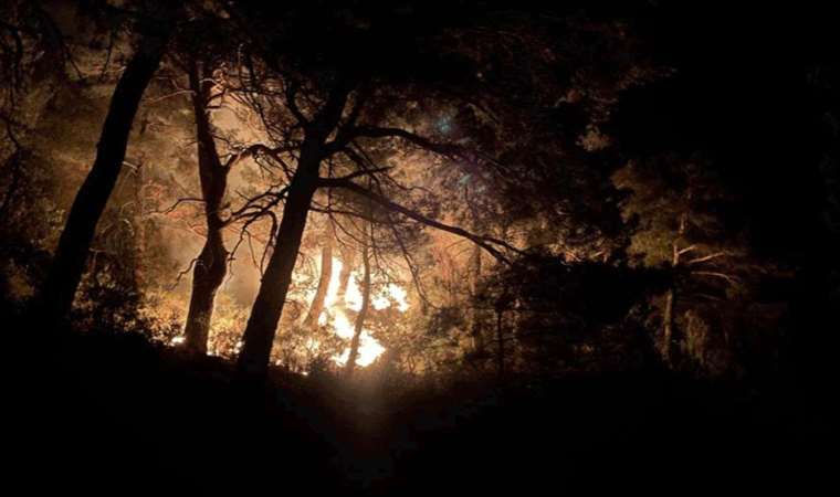 Çanakkale'de orman yangını: Müdahale sürüyor...