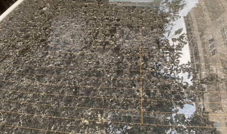 İstanbul'a çamur yağdı