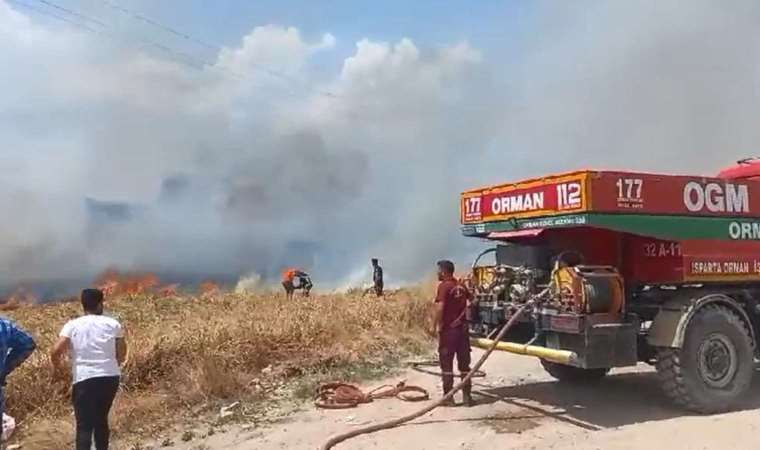 Isparta'da tarlada çıkan yangın ormana sıçradı!