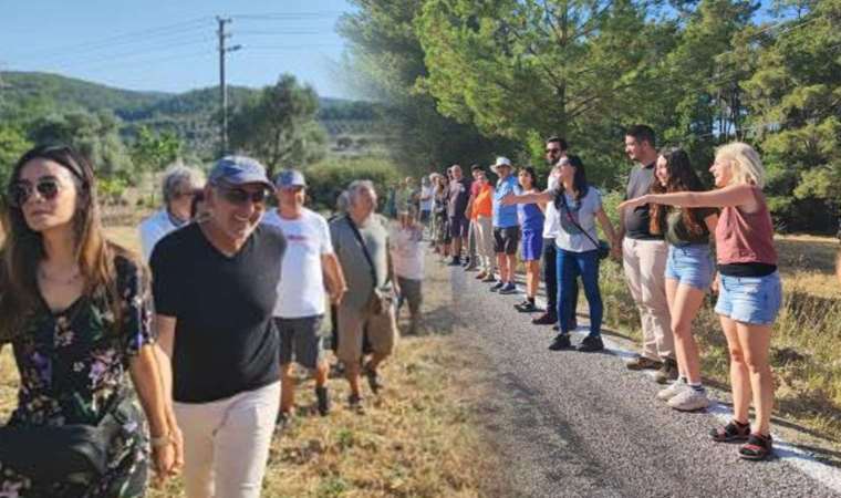 Akbelen'de ağaç kesimine karşı insan zinciri