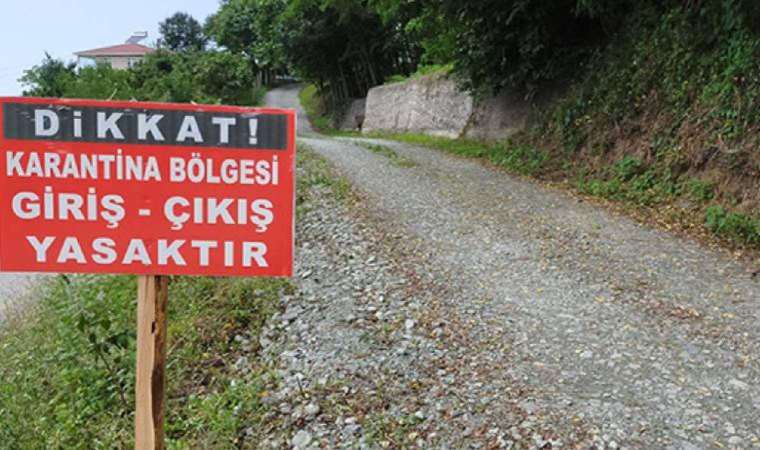Ordu'nun Akkuş ilçesinde 9 mahallede şap karantinası başlatıldı