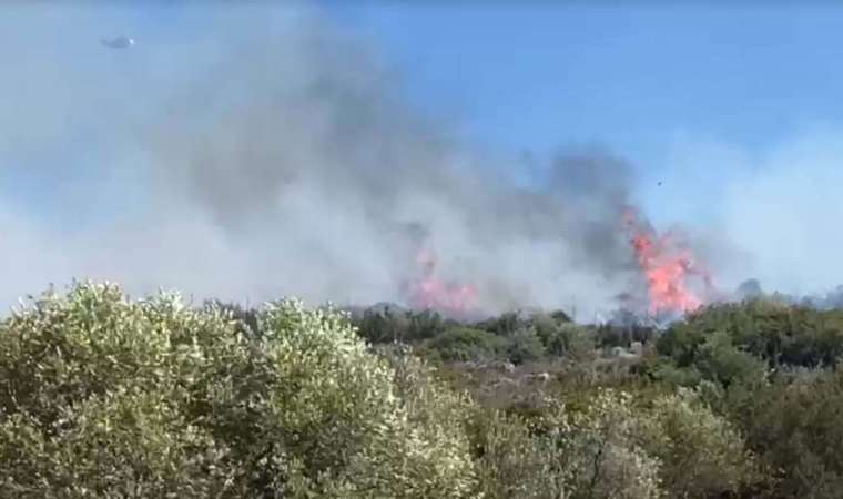 İzmir'de orman yangını... Karadan ve havadan müdahale ediliyor!
