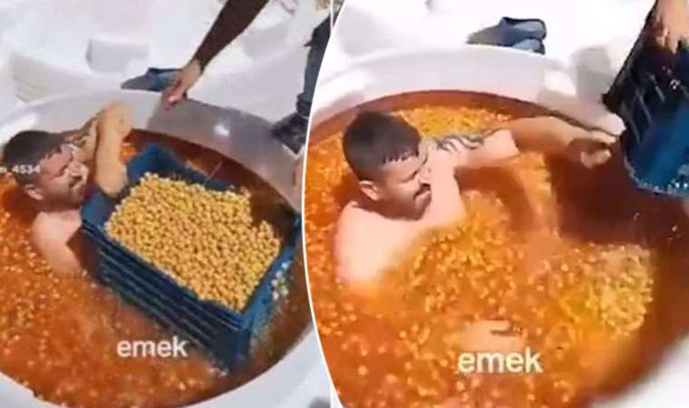Zeytin tankında mide bulandıran görüntüler: İnceleme başlatıldı, işletme kapatıldı...