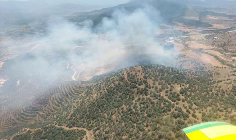 İzmir'de tarlada başlayan yangın ormana sıçradı