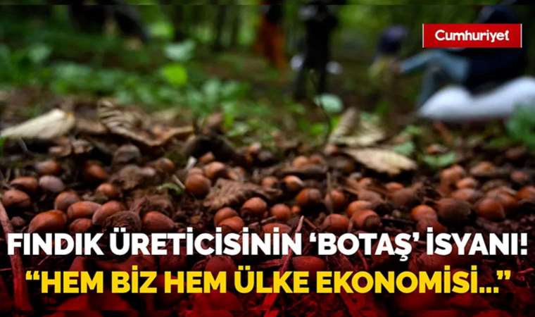 Fındık üreticilerinin BOTAŞ isyanı! "Hem biz hem ülke ekonomisi zarar görecek..."