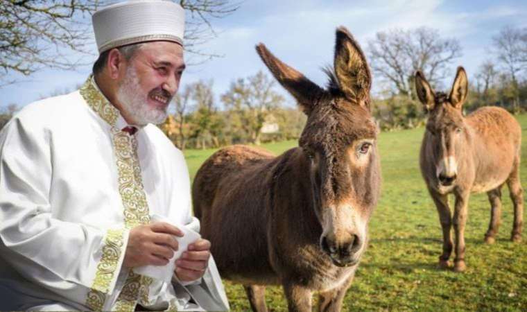 Ankara Müftüsü Çınar’dan yeni fetva: Yabani eşeğin eti de sütü de helal!
