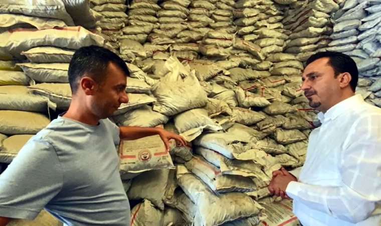 CHP’li Başevirgen: Vatandaş yaz sıcağında kömür telaşına düştü