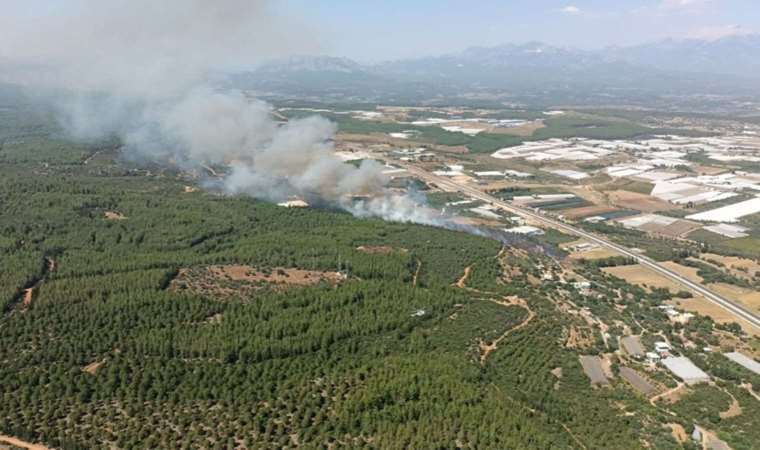 Antalya'nın iki ilçesinde orman yangını