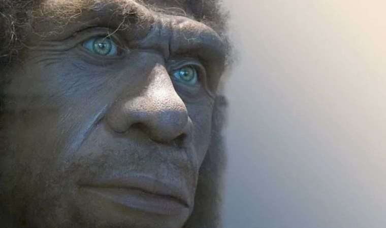 Neandertaller nasıl anlaşıyordu; nasıl bir dil kullanıyordu?