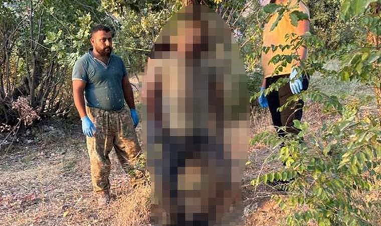Şırnak'ta işkence görmüş erkek cesedi bulundu: Kimliği belirlendi